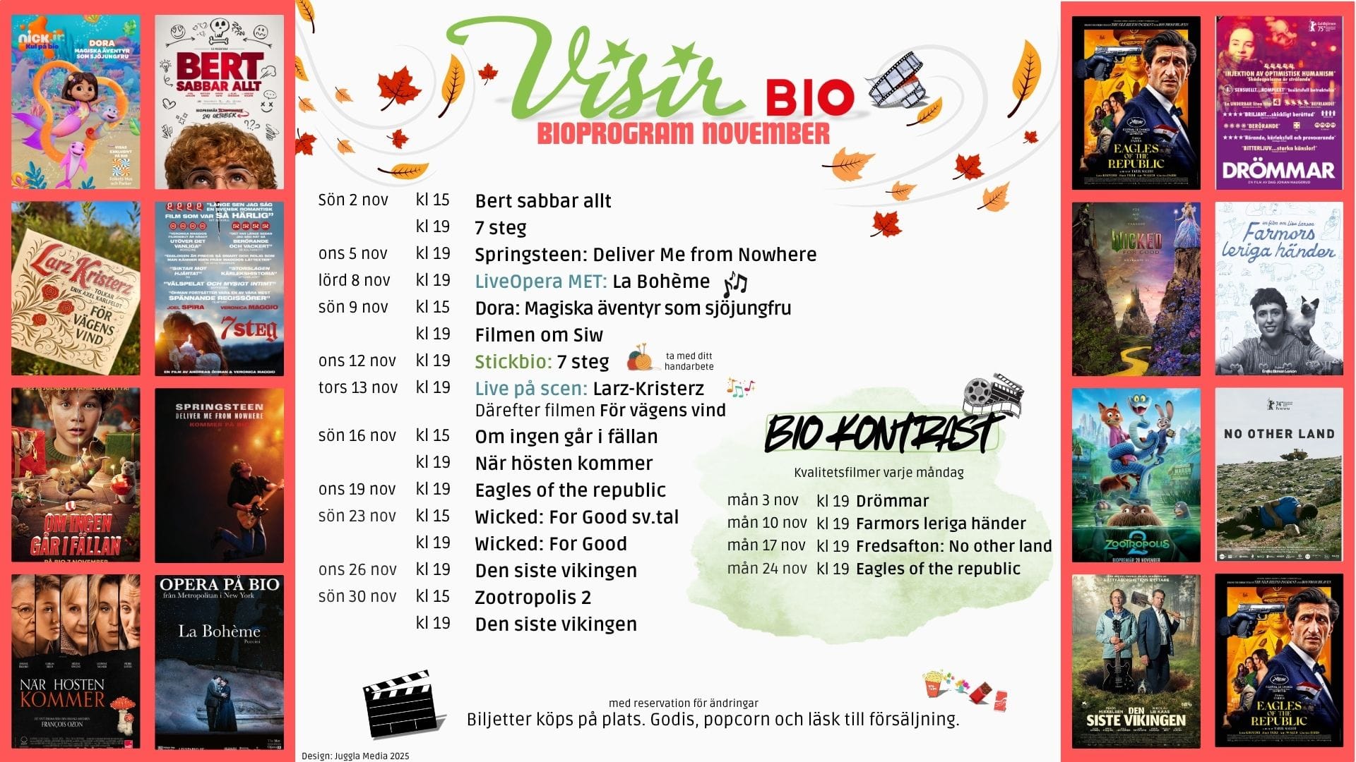 Visir bio i november