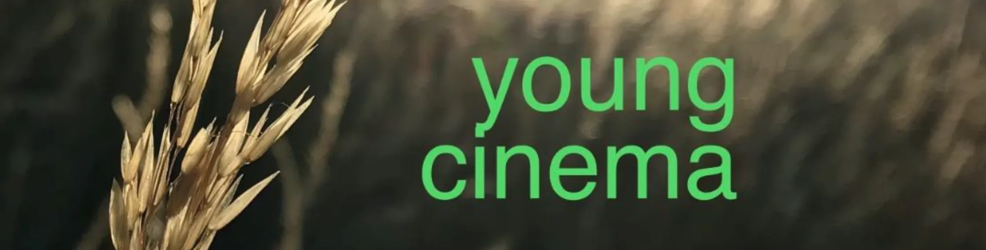 YoungCinema