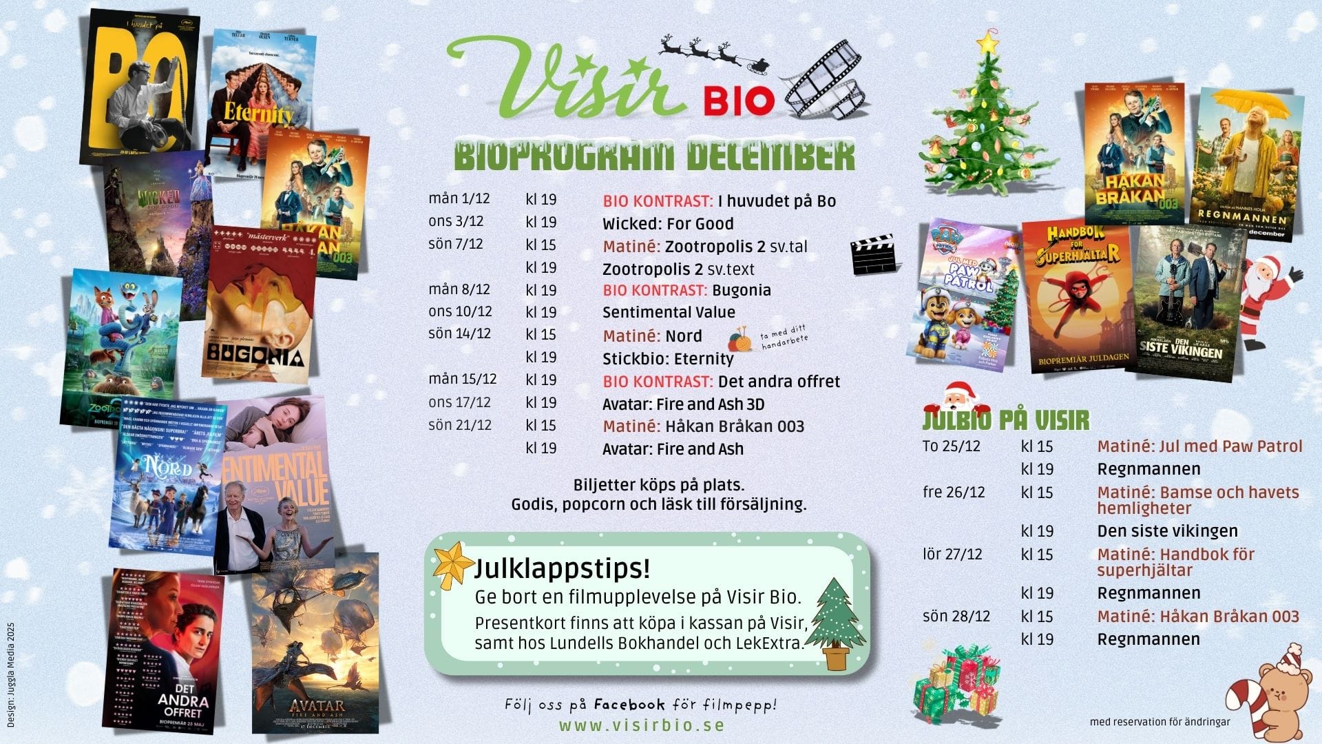 Visir bio i december