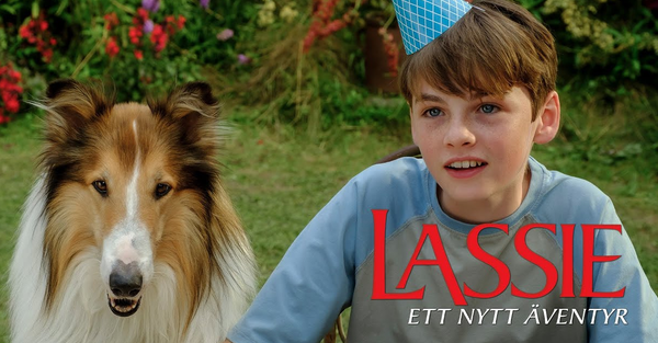 Söndag 4/2 kl. 15.00 | Lassie - Ett nytt äventyr