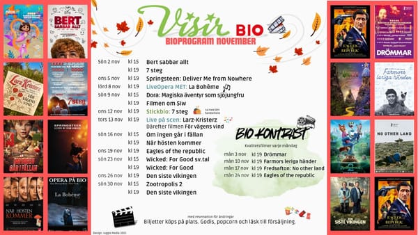Visir bio i november