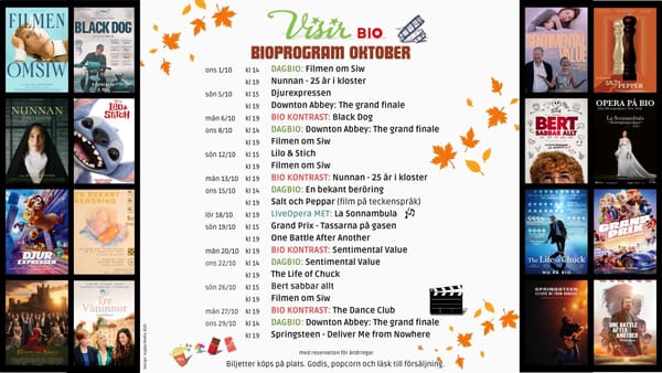 Visir bio i oktober