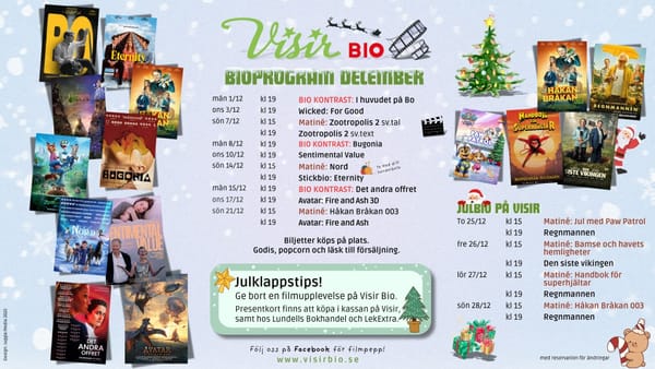 Visir bio i december